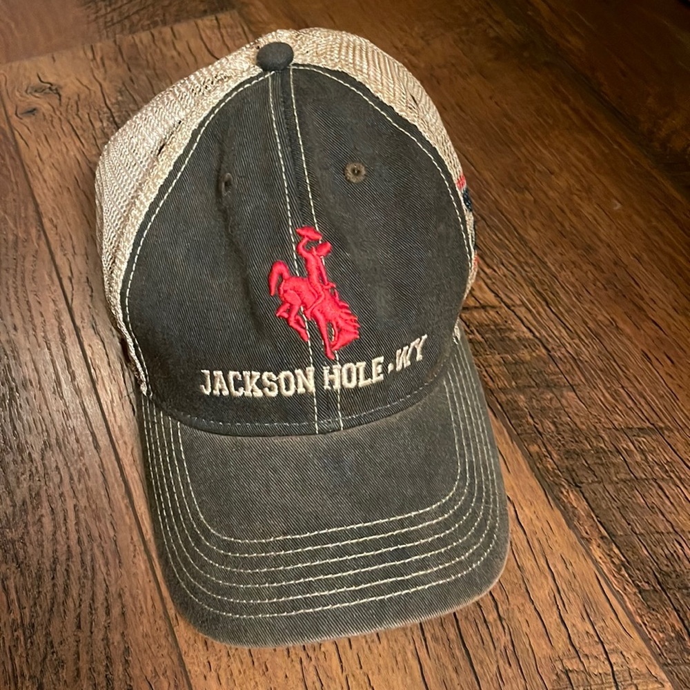 Kid Hat Brand New Jackson Hole WY